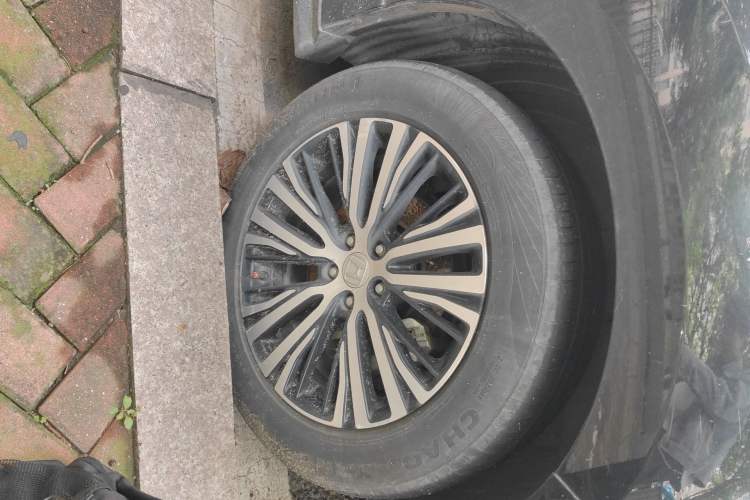 Used Honda Avancier 2017 370TURBO 2WD Luxury Edition