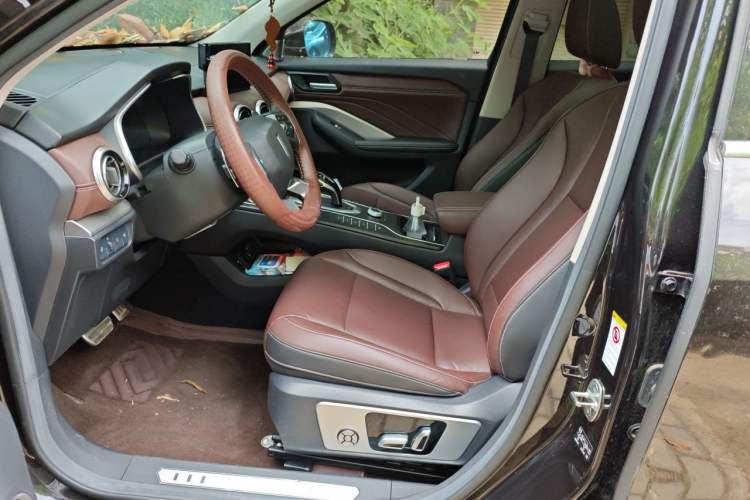 Used Wey VV6 2019 2.0T Two-Wheel-Drive Ultra-Luxury Version China VI Standard