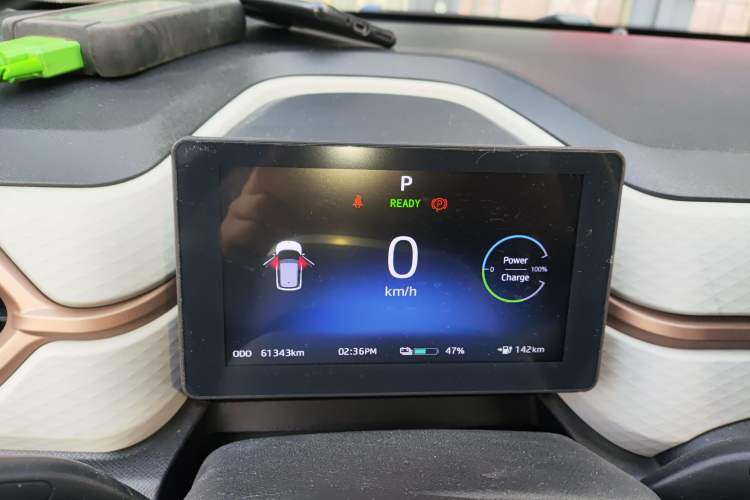 Used SOL E10X 2022 Flower Fairy Style Baby's Breath