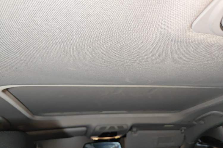 Used BMW 3 Series 2016 320Li Ambition Model Headliner