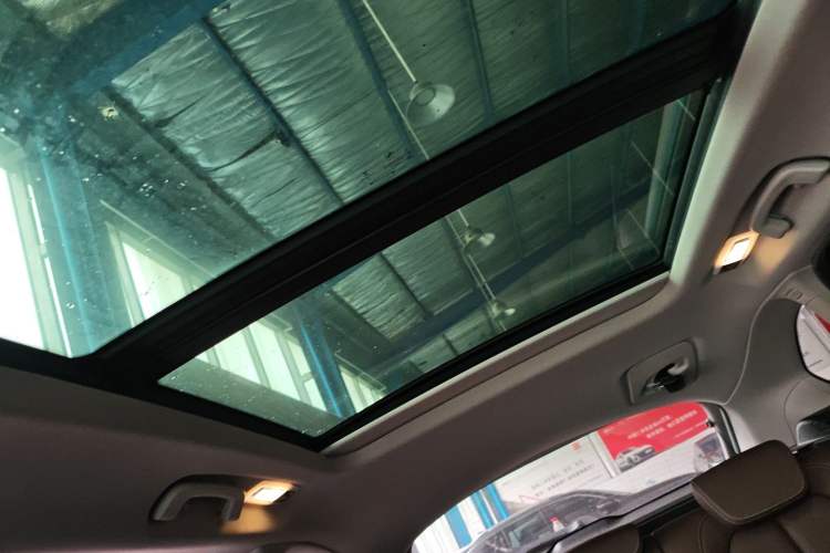 Used BMW X1 2020 sDrive20Li Premium Edition Headliner