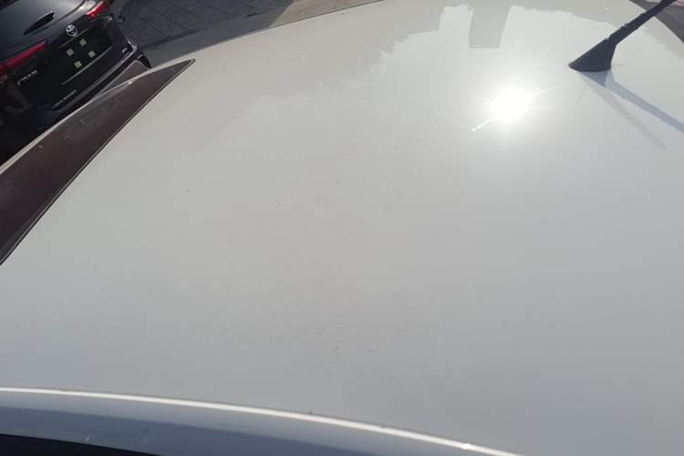 Used Skoda Rapid 2019 1.5L Automatic Comfort Edition China VI Standard Roof