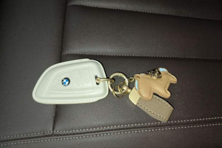 Used BMW 5 Series 2020 525Li Luxury Package Interior 1