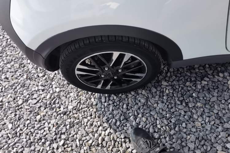 Used Chery QQ Little Ant 2022 Restyled Version Sweet Pink Edition Half-Sugar Version 28.8 kWh 30 kW 301 km
