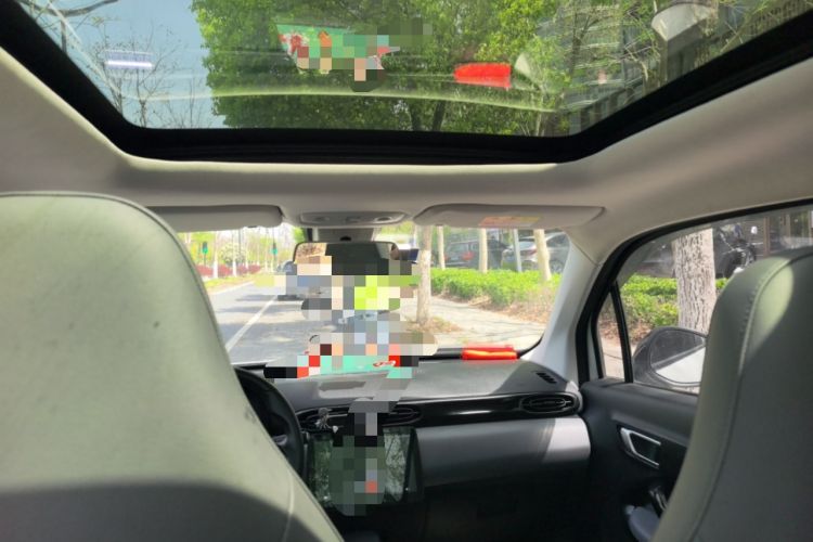 Used Leapmotor T03 2021 400 Luxury Edition Headliner