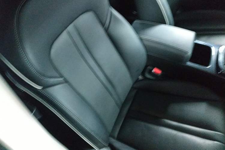 Used Tank 300 2024 2.0T Crosser
