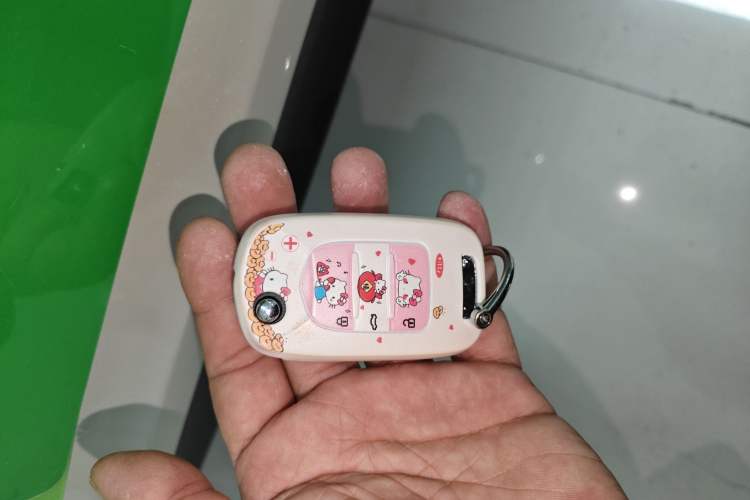 Used Wuling Hongguang MINIEV 2025 Four-Door Version Advanced Edition Vehicle Key