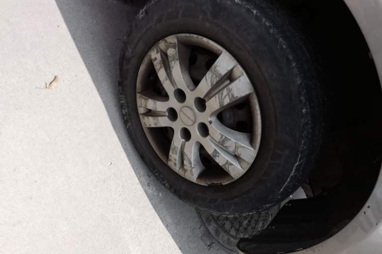 Used FORTHING Lingzhi 
