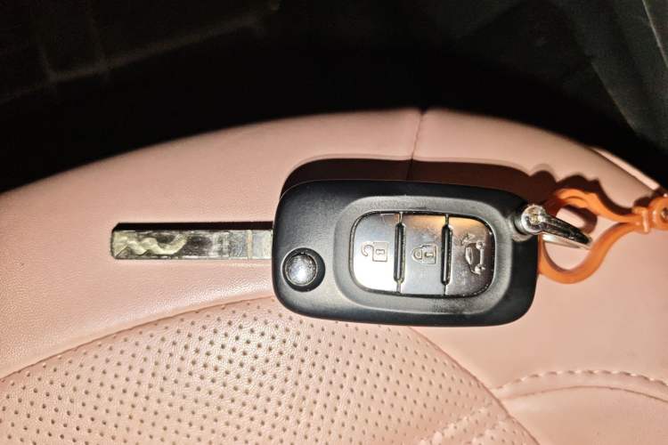 Used smart fortwo 2019 0.9T 66kW Hardtop Wind Power Edition China VI
