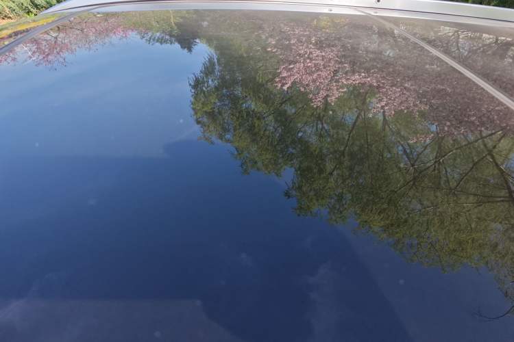 Used Buick Envision 2016 28T Four-Wheel Drive Elite Version Roof