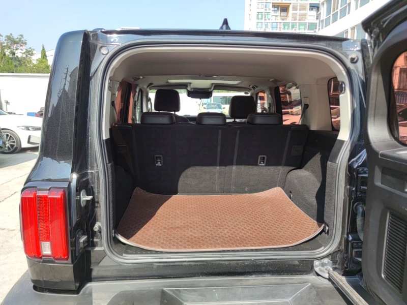 Used Tank 300 2024 2.0T Conqueror — 18
