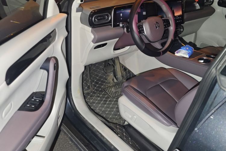 Used Leapmotor C11 2023 Pure Electric 500 Comfort Edition