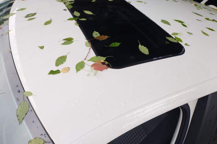 Used Volkswagen Polo 2018 1.5L Automatic Enjoyment Model Roof