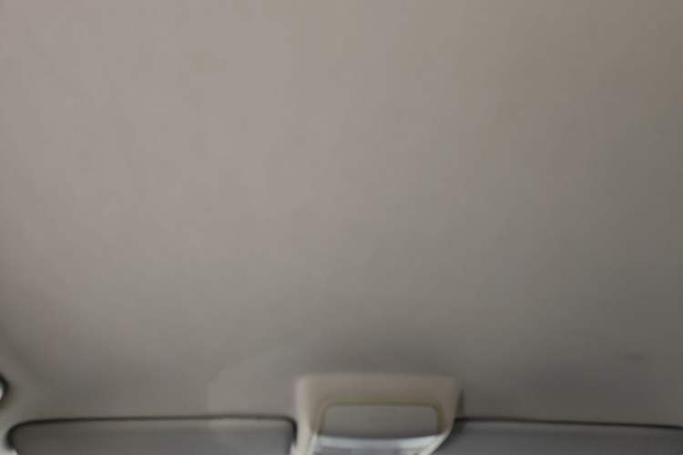 Used Volkswagen Tiguan 2010 1.8 TSI Automatic Two-Wheel Drive Trend Edition Headliner