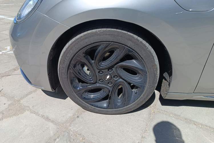 Used ORA Lightning Cat 2022 555 km Luxury Edition
