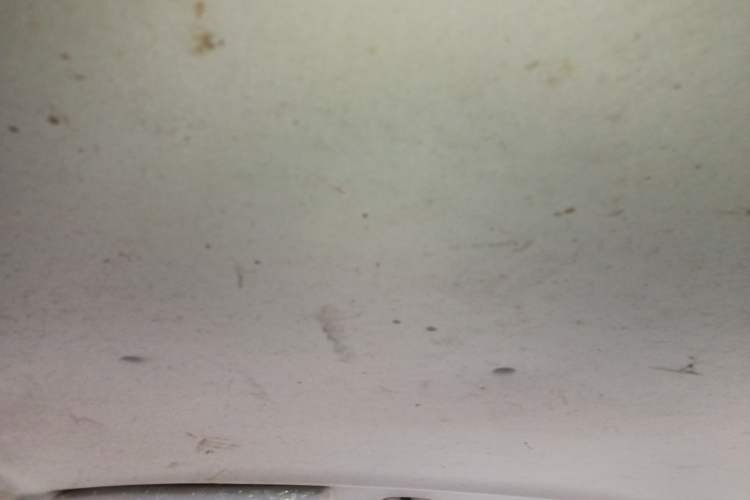 Used Foton Scenic G5 2022 2.0L Gasoline Commercial Version Open-Window 5/6-Seater 1TZS Headliner