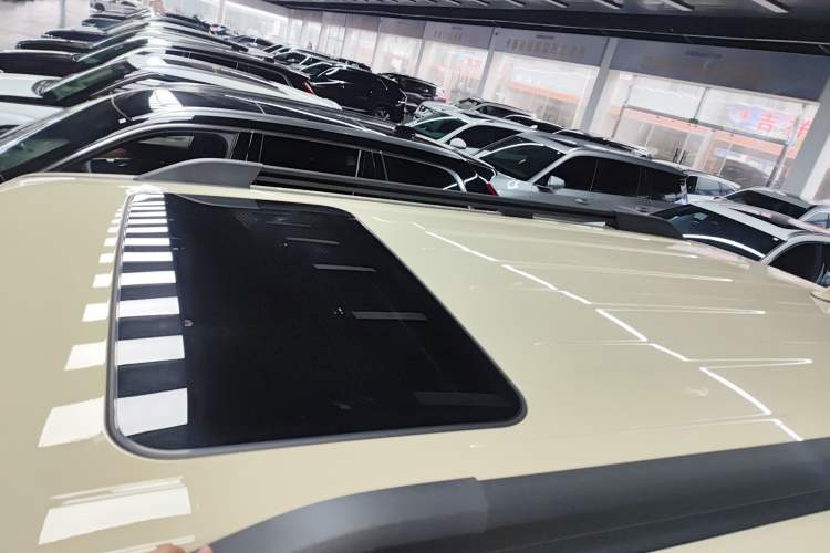 Used Tank 300 2025 2.0T Conqueror