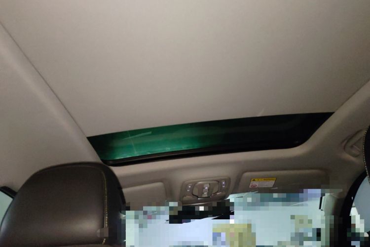 Used Roewe RX5 New Energy 2021 ePLUS National Trend Ronglin Luxury Edition Headliner