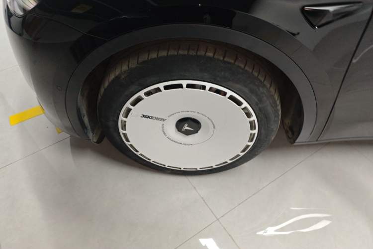 Used Tesla Model Y 2021 Standard Range Rear-Wheel Drive Version
