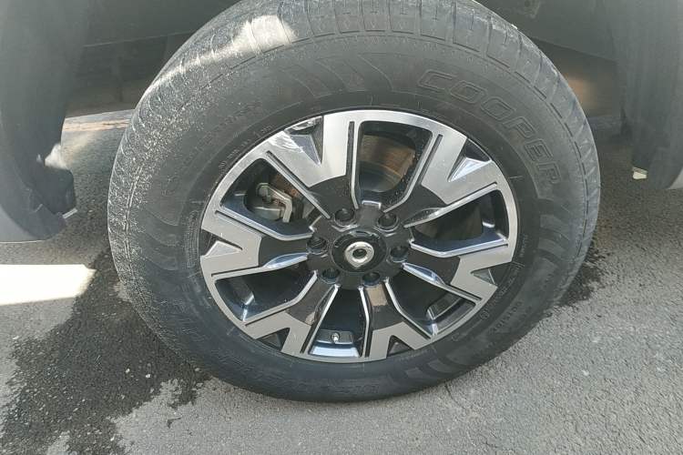 Used Great Wall Poer 2021 2.0T Global Version Automatic Gasoline 4x4 Prestige Standard Cab GW4C20B