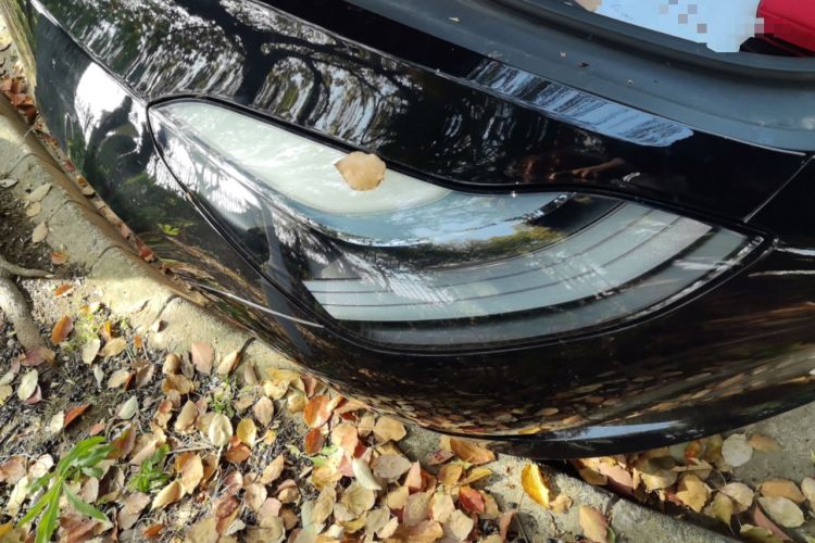 Used Tesla Model 3 2022 Rear-Wheel-Drive Version
