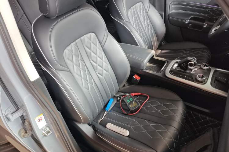 Used Tank 300 2024 2.0T Challenger
