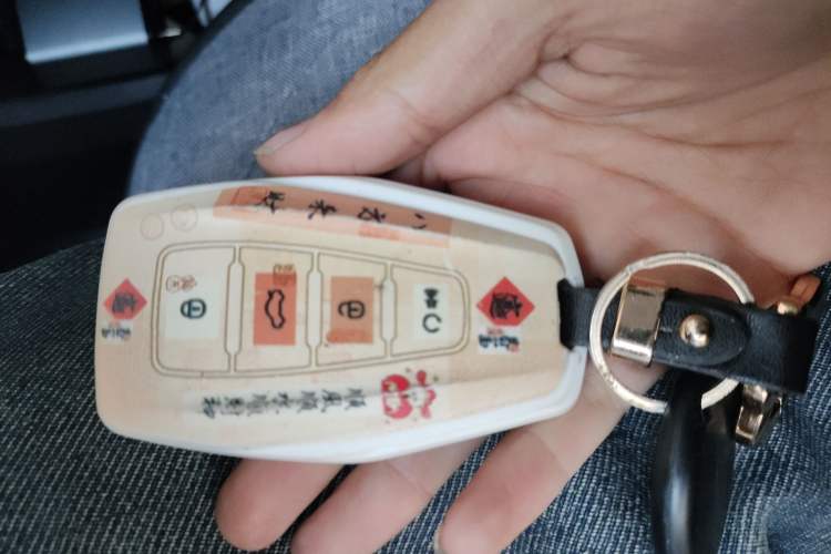 Used Livan Maple 80v PRO 2022 Comfort Edition Standard Range Version