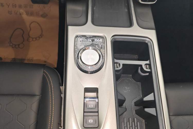 Used Haval DARGO 2024 2.0T DCT Chinese Rural Dog Edition
