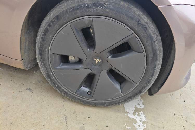 Used Tesla Model 3 2021 Standard Range Rear-Wheel Drive Upgraded Version 3D6
