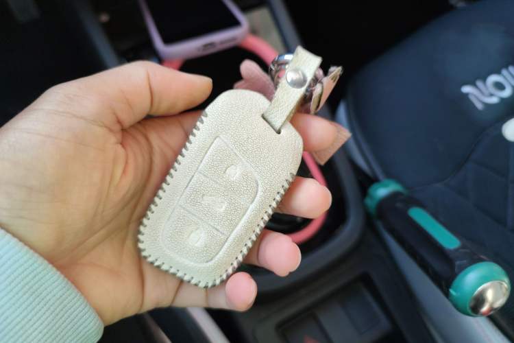 Used Chery Little Ant 2022 Restyled Version Sweet Pink Edition Low-Sugar Version Lithium Iron Phosphate Battery 30.7 kWh 30 kW 301 km