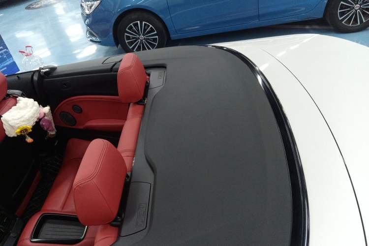 Used BMW 2 Series (Import) 2019 225i Convertible Coupe Luxury Edition M Sport Package
