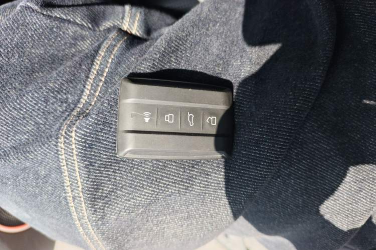 Used Tank 300 2021 Off-Road Edition 2.0T Conqueror
