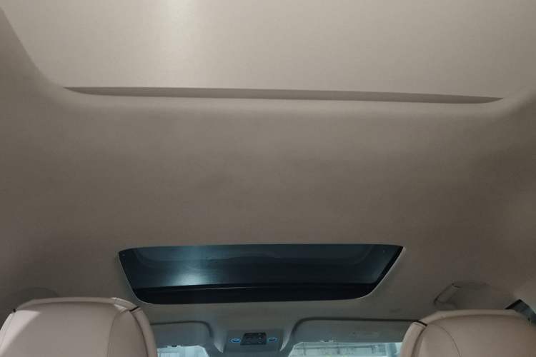 Used Denza D9 2024 DM-i 980 Four-Wheel Drive Prestige Model Headliner