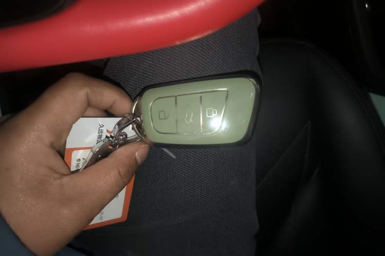 Used Chery QQ Little Ant 2023 301km True Love Plus Version Lithium Iron Phosphate Interior 1