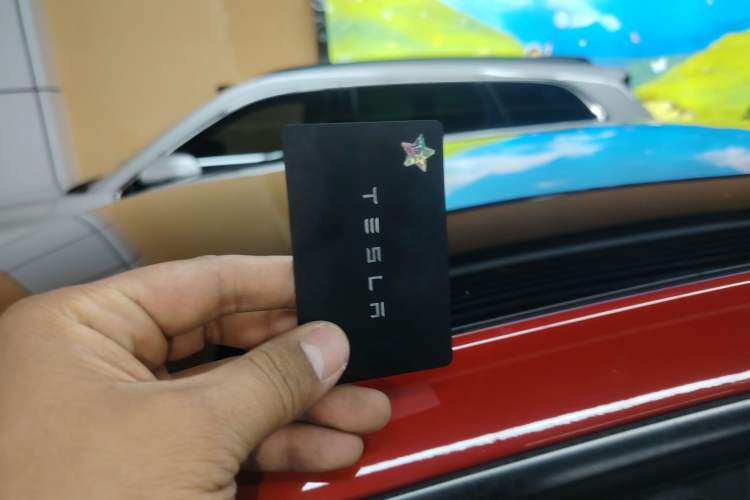 Used Tesla Model 3 2021 Standard Range Rear-Wheel Drive Upgraded Version 3D6