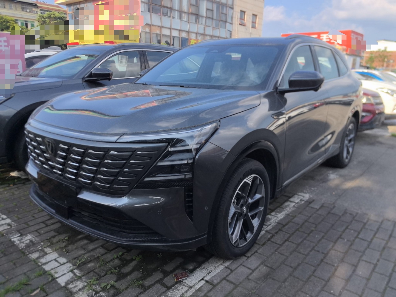 Parte inferior delantera