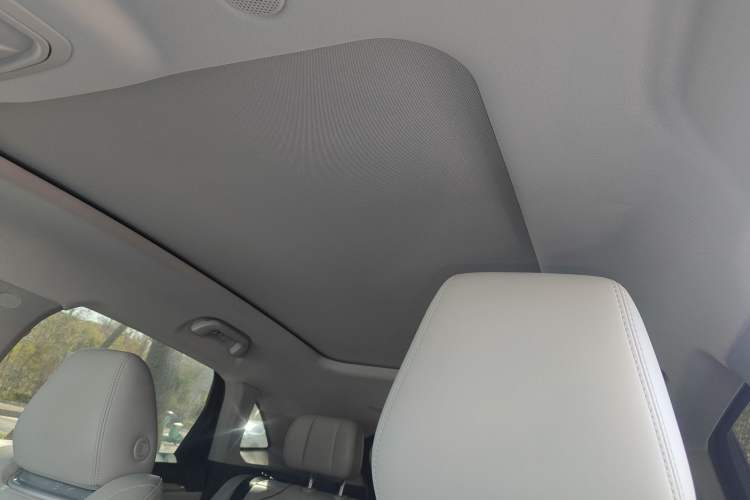 Used Wey Mocha 2021 2.0T Two-Wheel Drive Special Edition