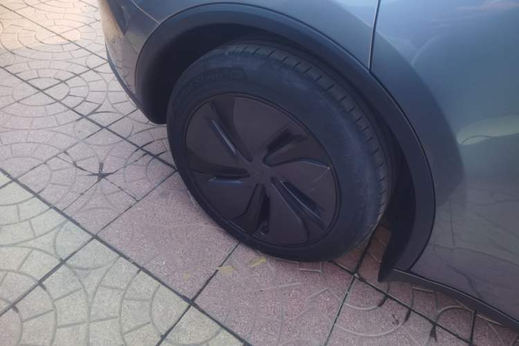 Used Tesla Model Y 2025 Long-Range All-Wheel Drive First Edition