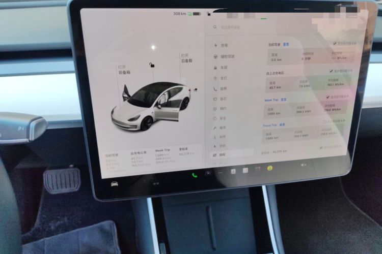 Used Tesla Model 3 2020 Revised Version Standard Range Rear-Wheel Drive – Upgraded Edition