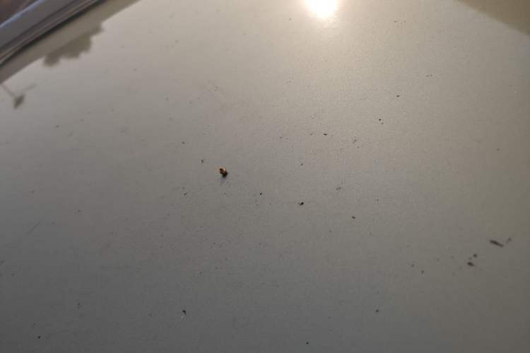 Used Baojun 560 2015 1.8L Manual Elite Edition
