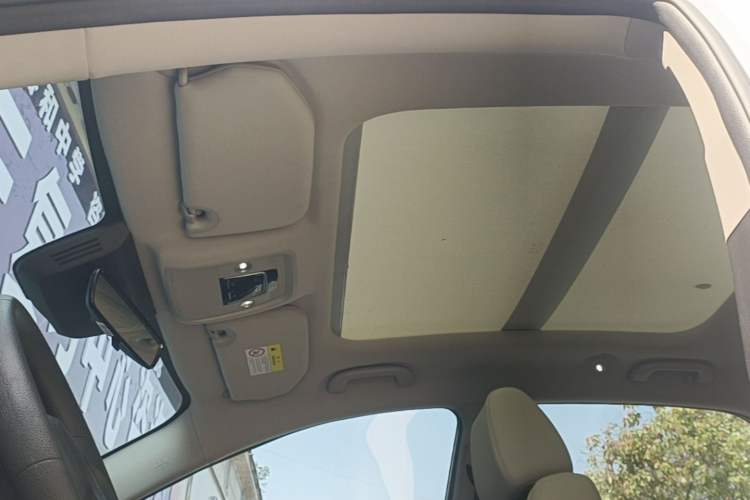 Used BYD Yuan Pro 2021 401 km Deluxe Version Headliner