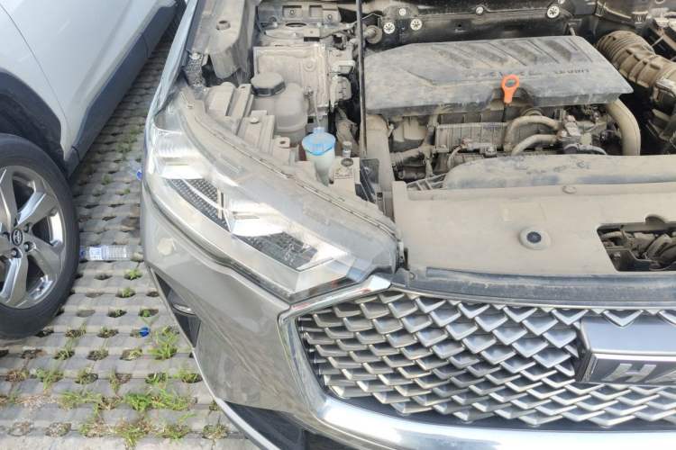 Used Haval H6 2021 3rd Generation 1.5T Automatic Two-Wheel-Drive Supreme
