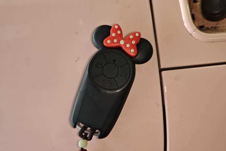 Used ORA Ballet Cat 2022 401 km Nutcracker Edition
