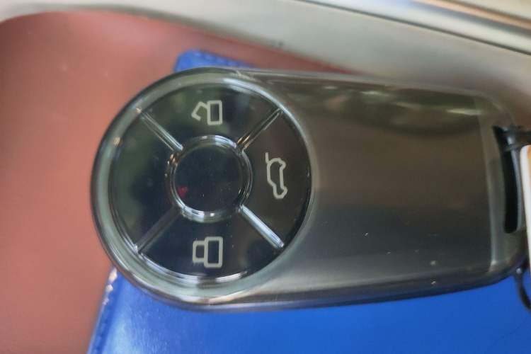 Used ORA Good Cat 2023 401 km Standard Range Luxury Version Lithium Iron Phosphate
