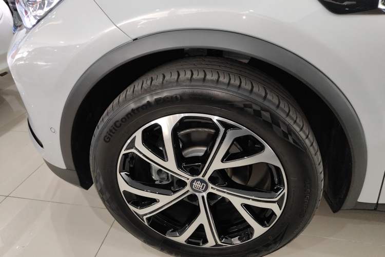 Used BYD Tang New Energy 2025 Intelligent Driving Version DM-i 115KM Flagship Edition