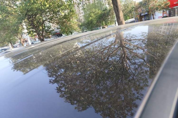 Used Hongqi HQ9 PHEV 2024 2.0T Four-Wheel Drive Business Edition Roof