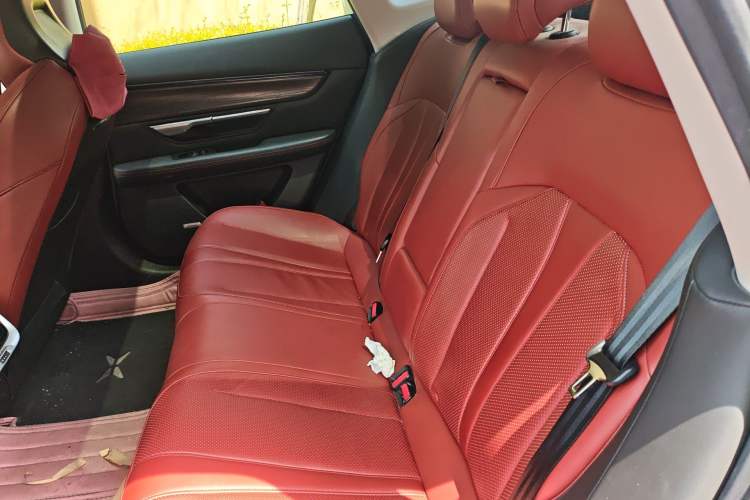 Used XPeng P7 2020 706G