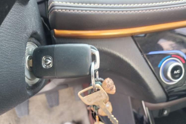 Used CHANGAN Eado DT 2019 1.6L Manual Comfort Model China VI Standard
