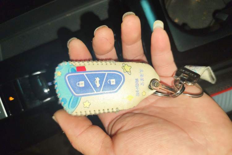 Used Volkswagen Lamando 2022 Lingdu L 280TSI DSG Spicy Edition