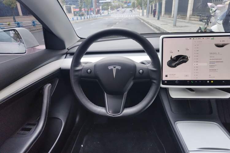 Used Tesla Model 3 2021 Revised Version Standard Range Rear-Wheel Drive Upgraded Edition 3D1